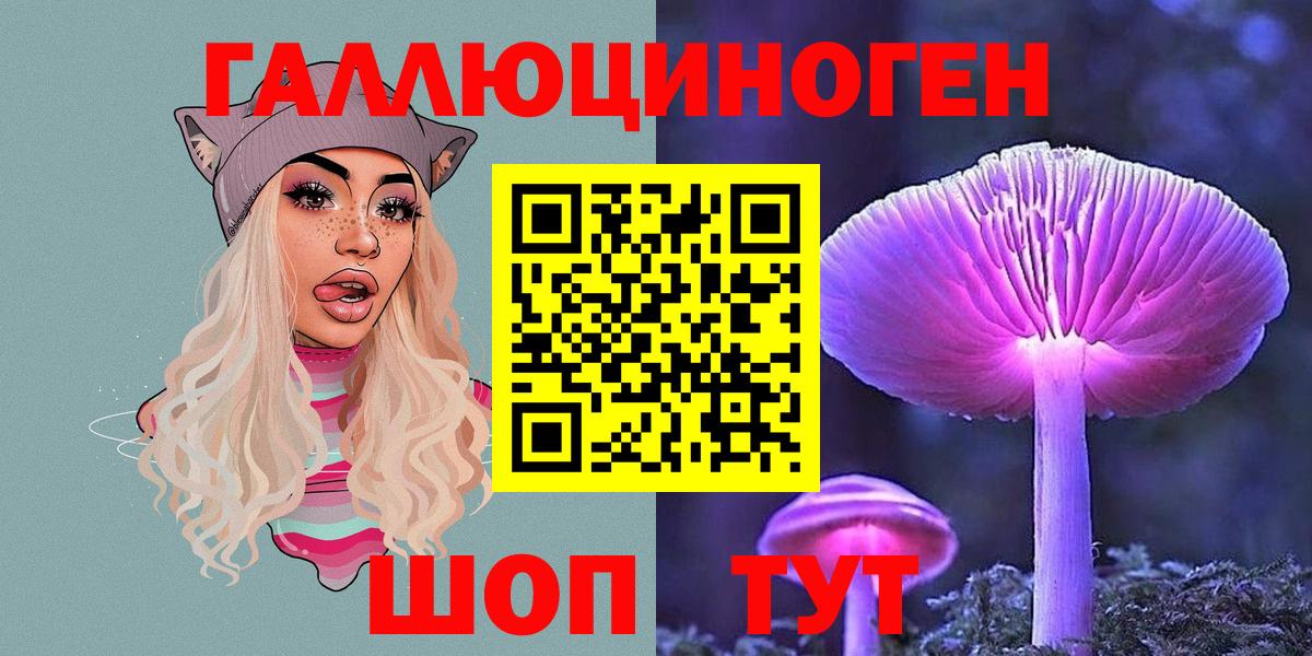 НБОМе Верхняя Пышма