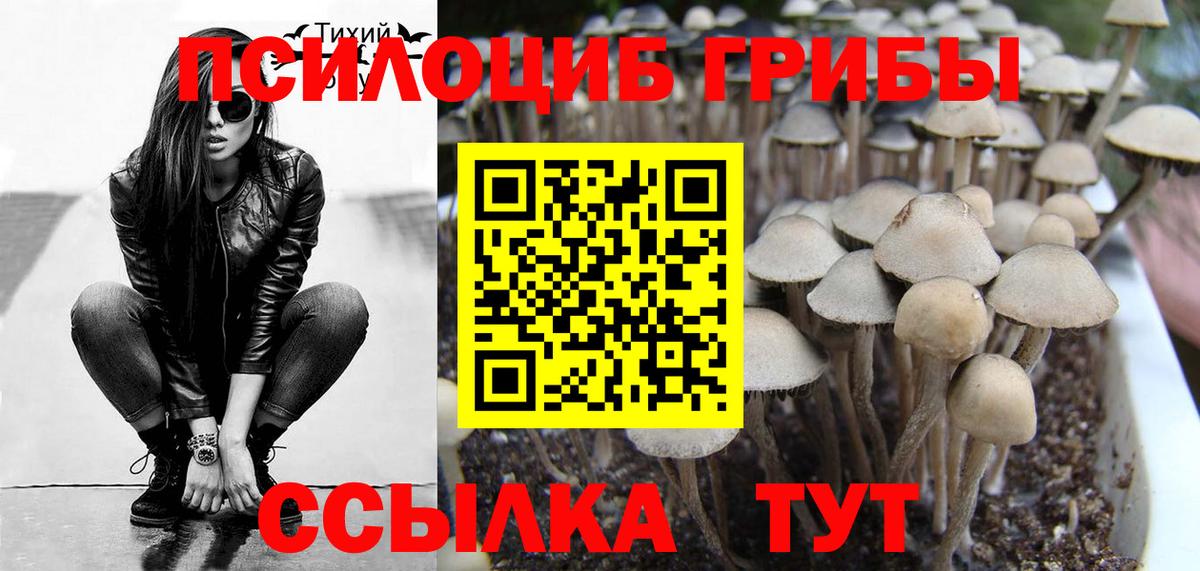 Галлюциногенные грибы прущие грибы Верхняя Пышма