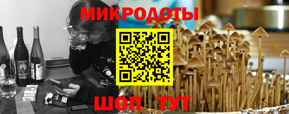 Галлюциногенные грибы прущие грибы  Верхняя Пышма 