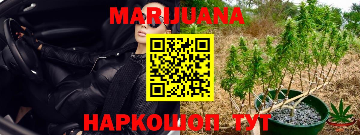 МАРИХУАНА MAZAR  Верхняя Пышма  Бошки Шишки план  Канабис THC 21% 